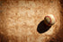2478 - Baseball